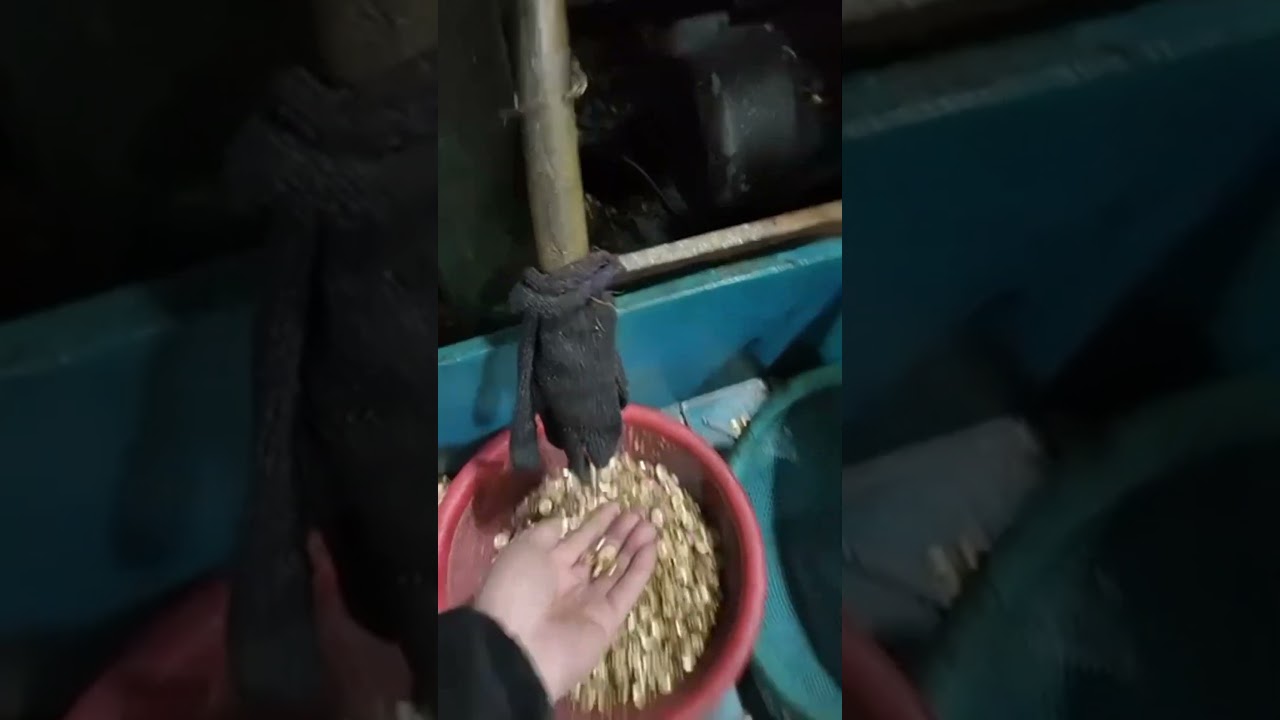 Do you know how metal buttons are made? 🧐 #button #ribbon #metal #metalmanufacturing