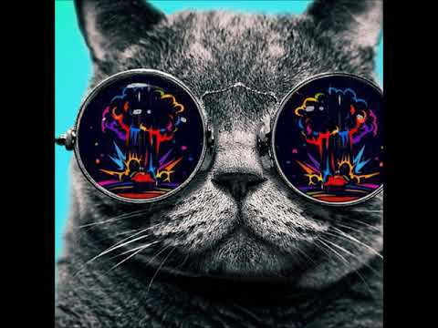 Plastic Robots House Divided - The Faith