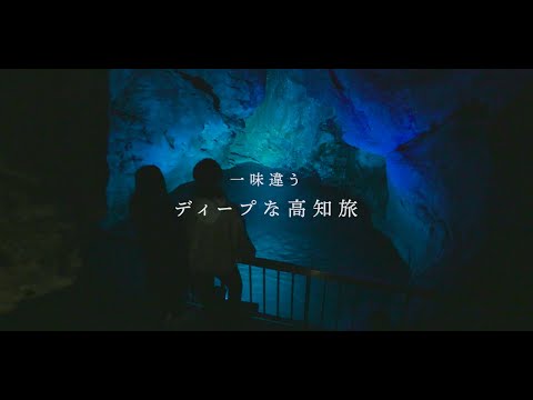 【2024冬旅】高知県 香南市・香美市の激推しスポット【おすすめ】
