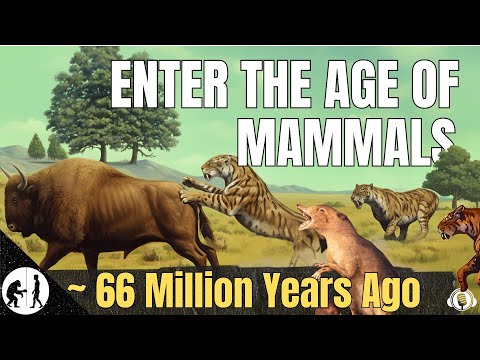 The Entire Cenozoic ERA | How Mammals Took Over a Dinosaur’s World