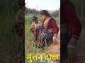 भौजी का प्याज हुआ भारी Muttan Dada Comedy Comedy Muttan Dada