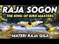 Super Kejam RAJANYA MASTERAN SOGON FULL TEMBAKAN Bar Bar ️
