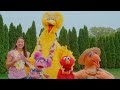 Sesame Street Nani Bird Visits Short Episode