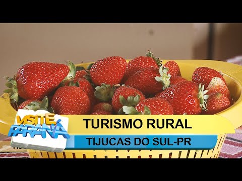 Visite Paraná: Turismo rural em Tijucas do Sul