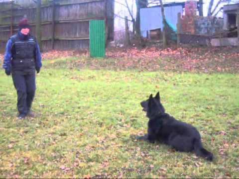 Fantom ze Stříbrného kamene ovladatelnost