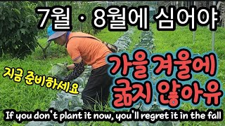 7월 8월에 심는 필수 채소ㆍ야채, 파종시기 심는방법 vegetables that you regret if …