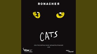 Gus, der Theater Kater (Live)