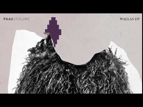 PAAX (Tulum) - Wallas (Stefan Obermaier Remix)