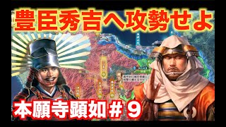 【信長の野望新生】本願寺顕如＃９   天下人・豊臣秀吉を攻めてみよう！