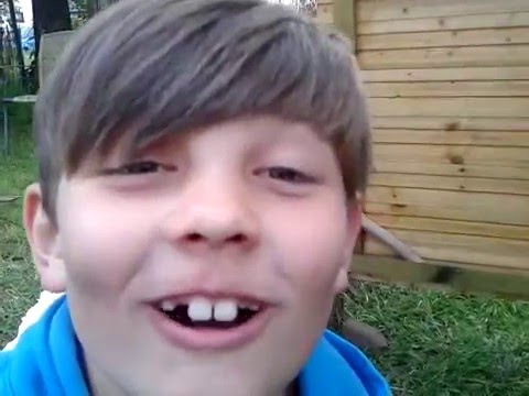 Natursprung Hühnermobil - Hühner ziehen ein