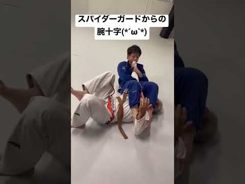 下からの腕十字!!お尻を高く上げるのがコツだよ(*´ω`*)#柔術 #格闘技 #柔道