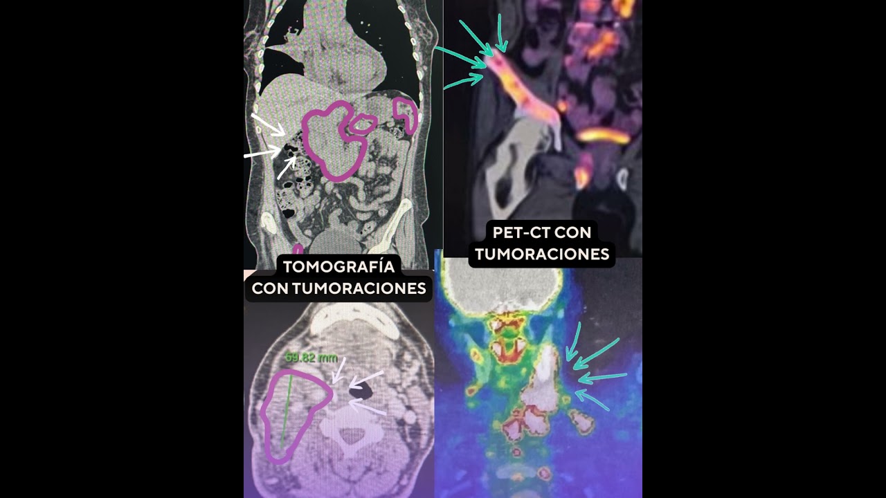 Diana Nolasco Medina-27