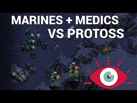 Can BIO Beat the Top Protoss vs Terran Expert? - SnOw vs Light