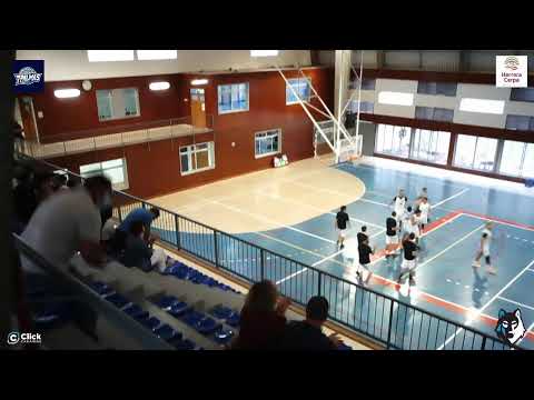 primera autonomico MACULINO : CB 7 Palmas -  Evecan