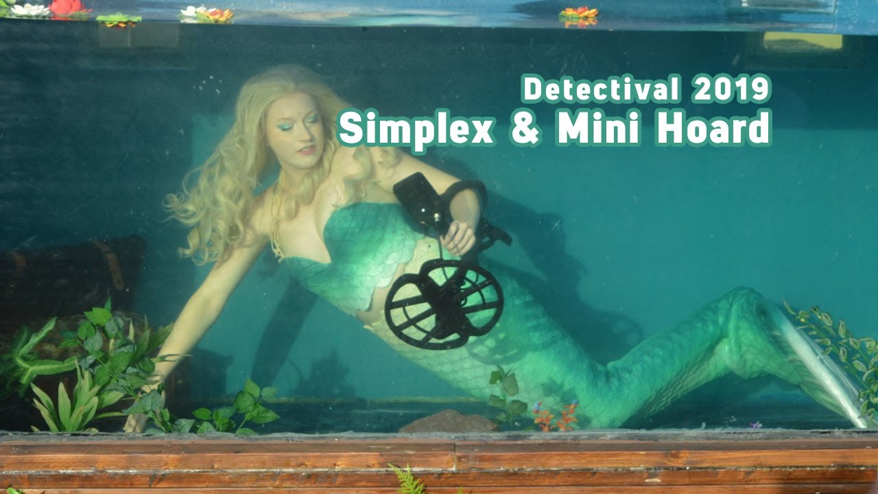 Detectival 2019 - Nokta Simplex+ & Mini Hoard