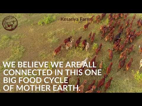 250ml Gir Cow Cultured A2 Ghee