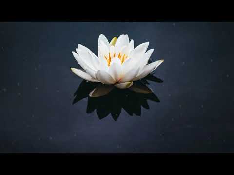 Shanky pokhriyal rap- diary