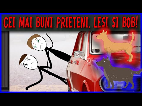 CAINII COPILARIEI, CEI MAI BUNI PRIETENI!