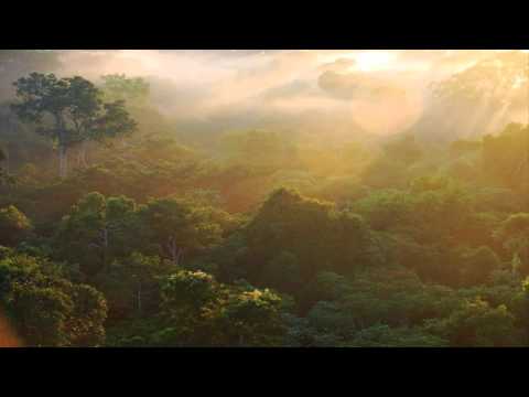 Jor-G - Teya (Original Mix)