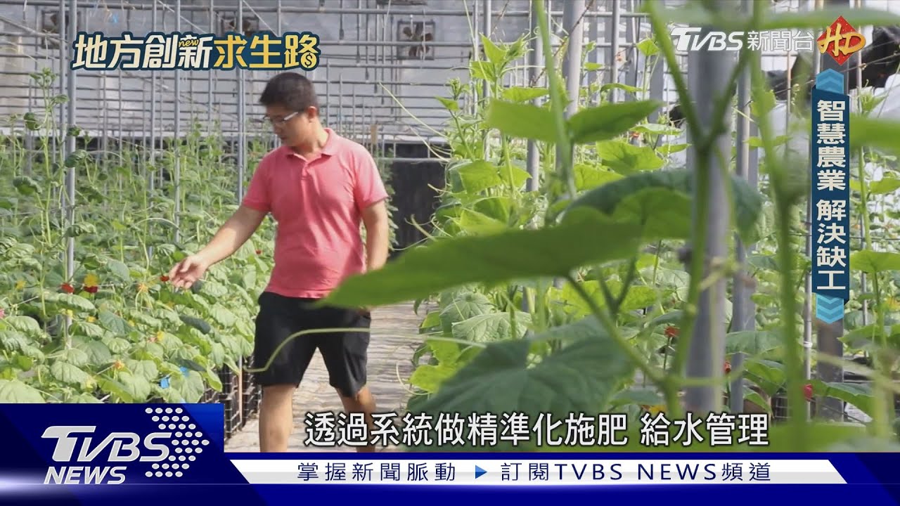 把農村變成迪士尼樂園 高學歷農夫為智慧農業鋪路