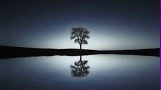 Download lagu Al-Mulk -- by Syaikh Hani Ar-Rifa'i mp3 Download lagu Al-Mulk -- by Syaikh Hani Ar-Rifa'i mp3