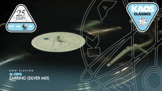Q-Típs - Earring (Silver Mix)