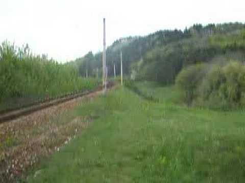 Plimbare Selgros -  Zamca prin padure (video 7/9 )