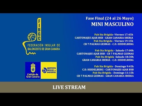 Fase final 2019 MINI MAS Cartonajes Ajar BSB - CB 7 Palmas Gesmas