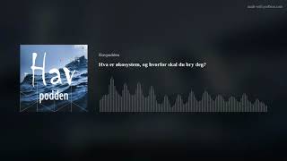 Hva er økosystem, og hvorfor skal du bry deg?