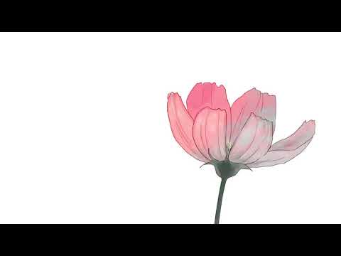 造形デザイン学科 Haiku Animation／俳句アニメーション
