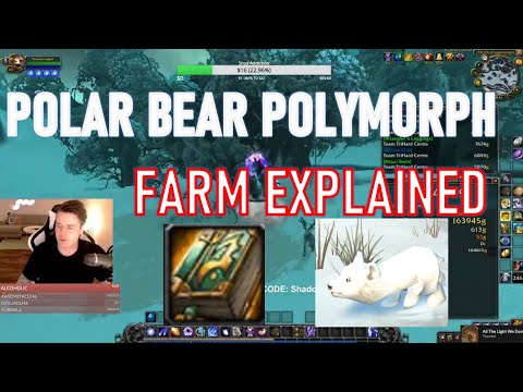 Easy 50,000g-100,000g MAGE ONLY Farm Explained I World of Warcraft I Stream Highlights