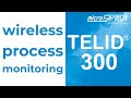 Wireless Process Monitoring with TELID®300