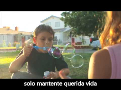 Dannic feat  Bright Lights   Dear Life Official Music Video