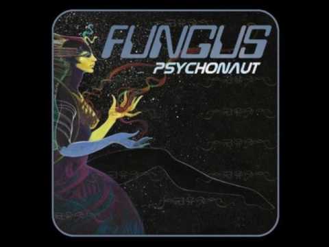 FUNGUS - Psychonaut  (Full Album 2007)