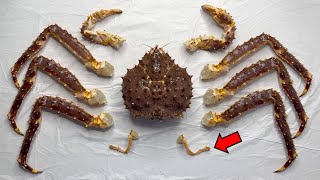 킹크랩이 ‘게’가 아닌 이유