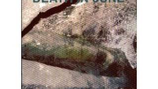 death in june  Winter Eagle