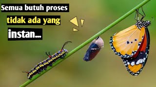 Download lagu kata Kata motivasi,  semua butuh proses mp3