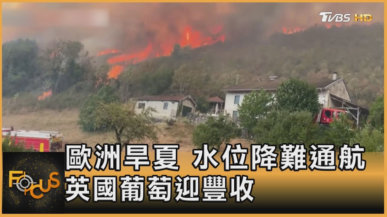 歐洲旱夏 水位降難通航 英國葡萄迎豐收