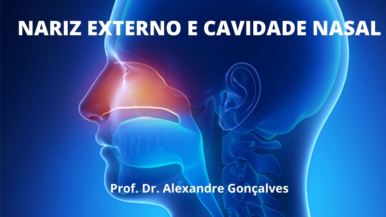 Anatomia do Nariz e Cavidade Nasal
