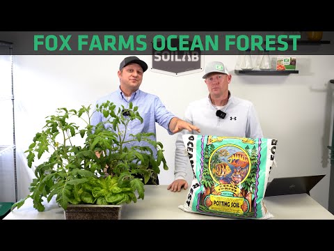 Fox Farms Ocean Forest Potting Soil Testing | Know Before You Grow