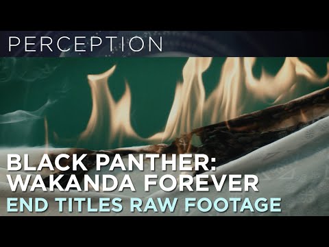 End Title Sequence Raw Burning Footage