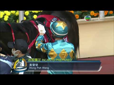 2020/21 (399) - Incanto Prepared (追風驥足) - 莫雷拉