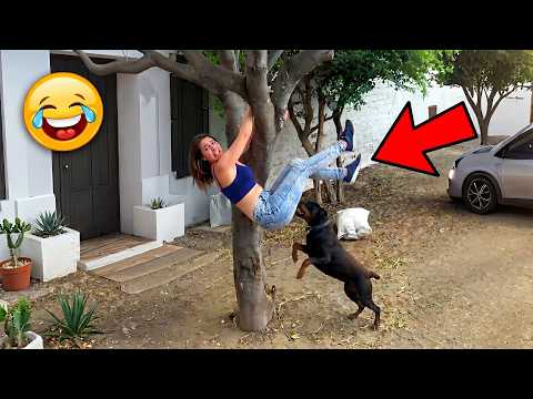 Ultimate Viral Funny Moments 😂 TRY NOT TO LAUGH Challenge & Crazy Fails Compilation 2026