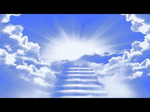 Accompagnement et soin après la perte d'un être cher