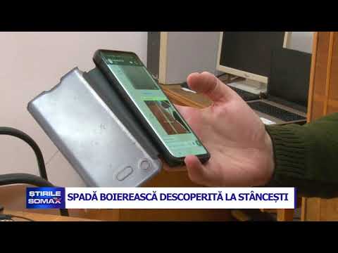 SPADA BOIEREASCA DESCOPERITA LA STANCESTI