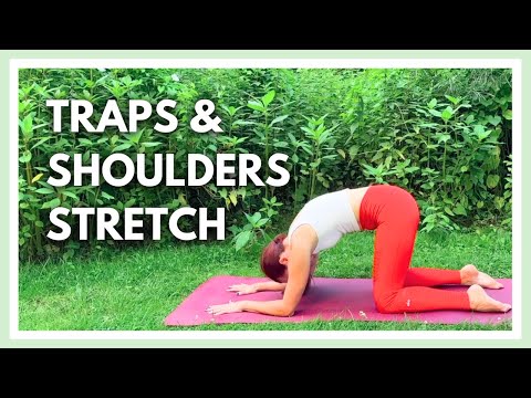 Yoga for Trapezius, Shoulders & Rhomboids ✨ Mobility & Relief