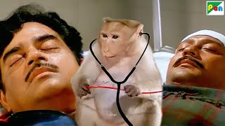 Download lagu बंदर बना बजरंगबली Doctor..खून रोककर बचाई जान और की सुरक्षा - Jackie, Shatrughan - Jawab Hum Denge mp3