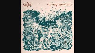 Kelpe - Half Broken Harp