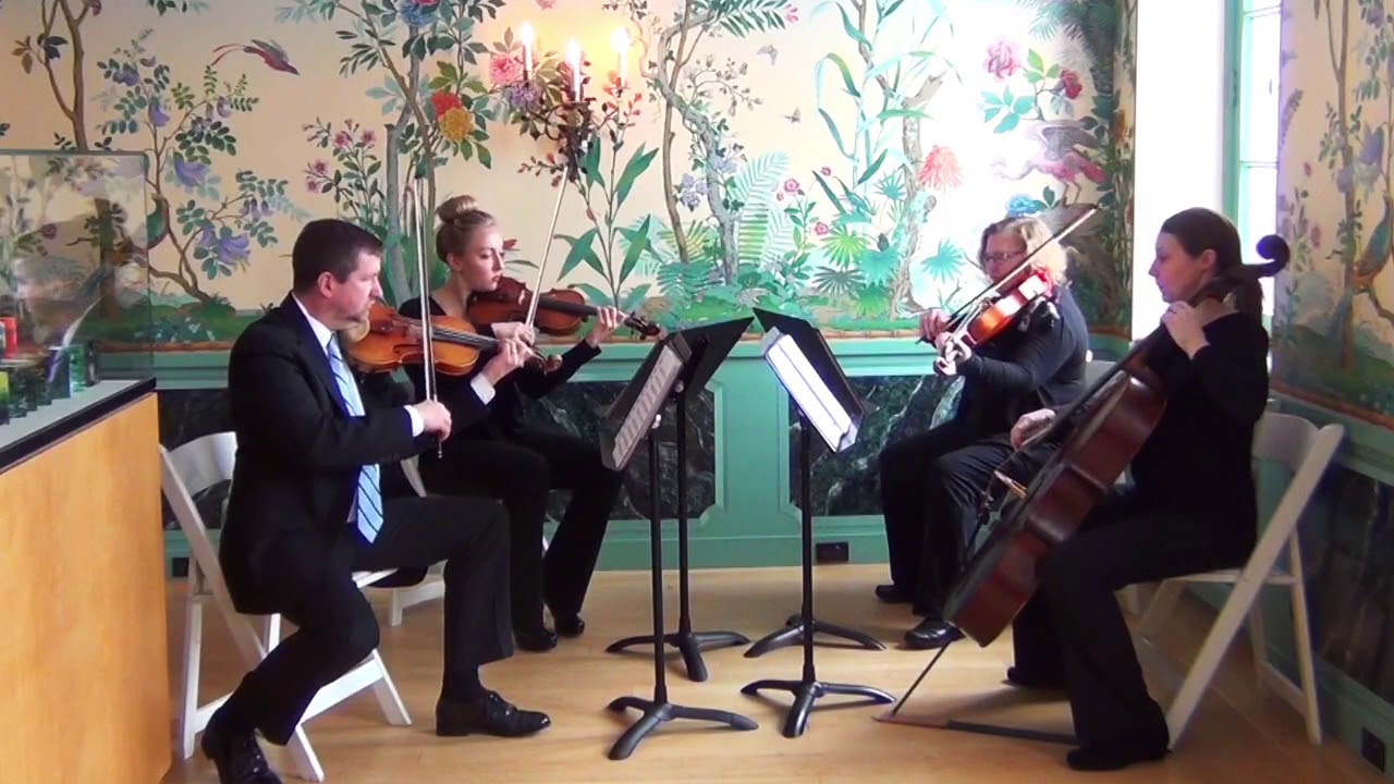 Promotional video thumbnail 3 for Gabriel's Horns Live Wedding Musicians
