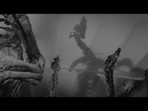 Dimanche (Edmond Bernhard, 1963)
